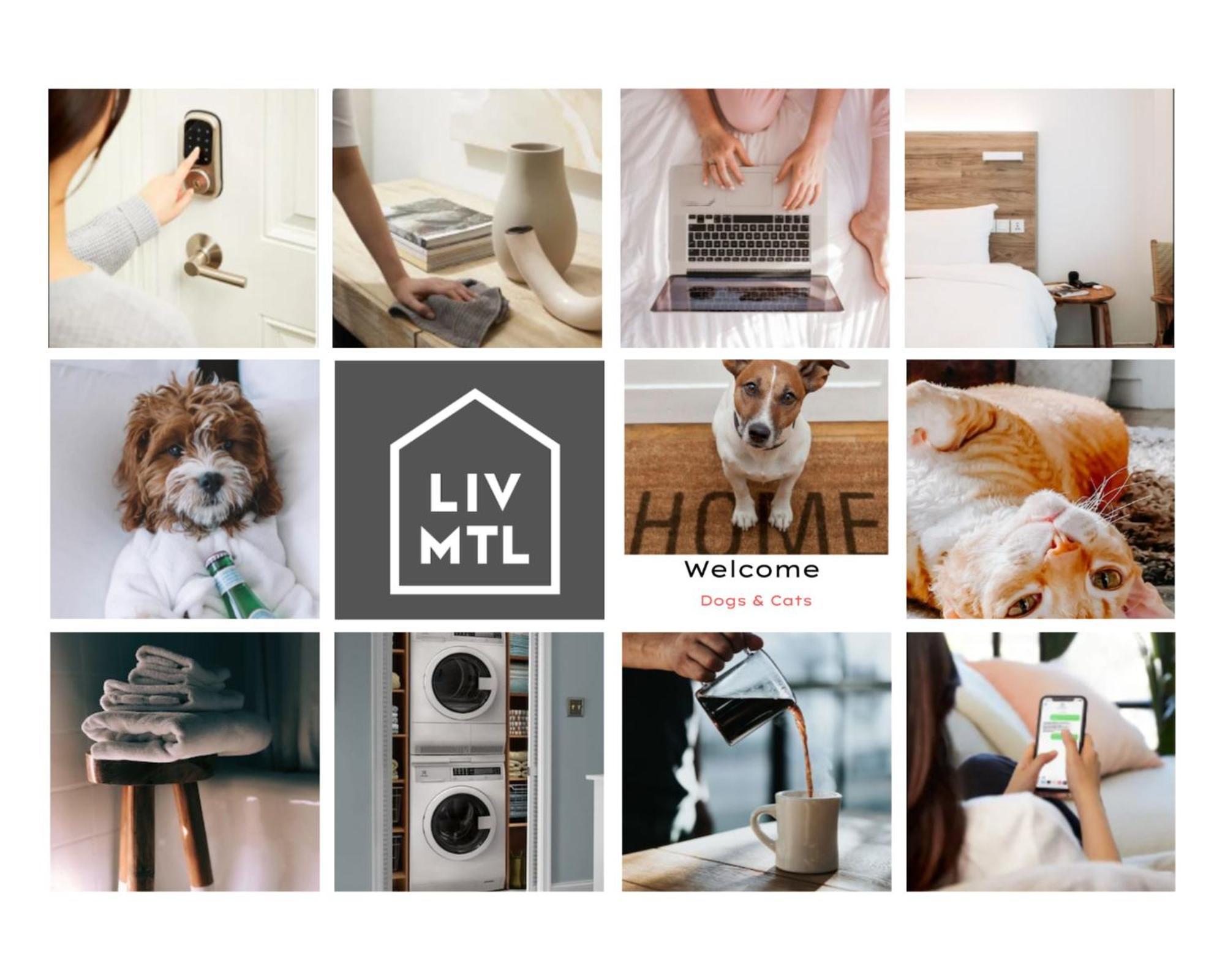 الشقق الفندقية مونتريالفي  Liv Mtl Soho المظهر الخارجي الصورة
